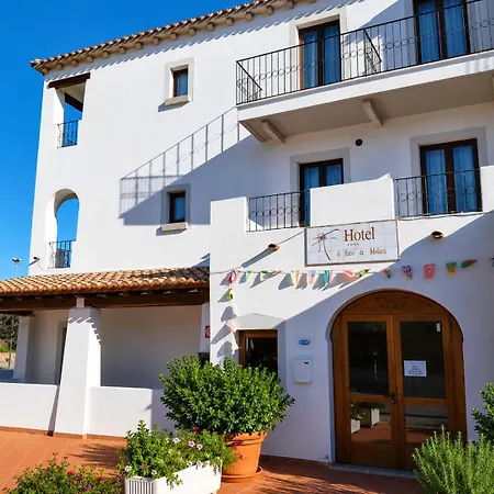 Hotel Il Faro Di Molara Porto San Paolo (Sardinia)