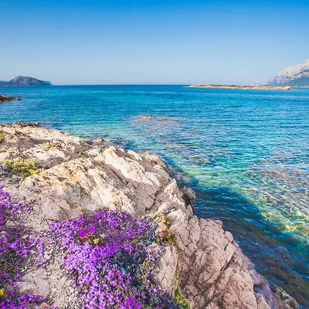 Il Faro Di Molara 4* Loiri Porto San Paolo
