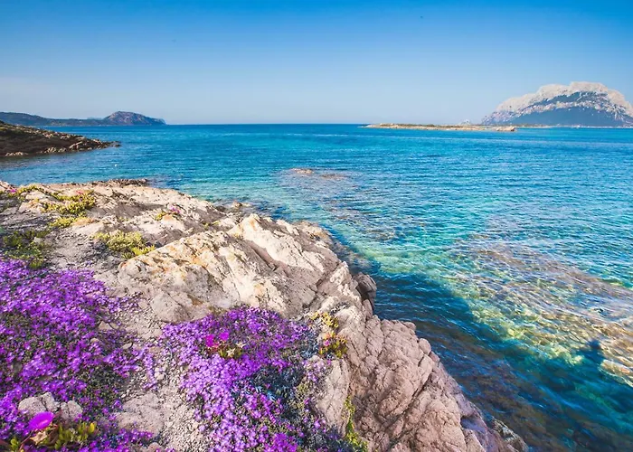 Il Faro Di Molara 4* Loiri Porto San Paolo